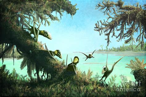 Dimorphodon Pterosaurs Photograph By Mark P Wittonscience Photo Library