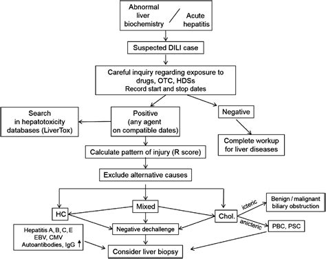 Drug Induced Liver Injury Recent Advances In Diagnosis And Risk