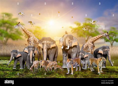 Large Group Of African Safari Animals Wildlife Conservation Concept