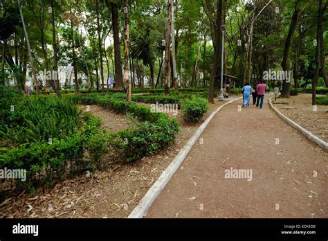 Parque Mexico (Mexico Park) in the Condesa neighborhood of Mexico City ...