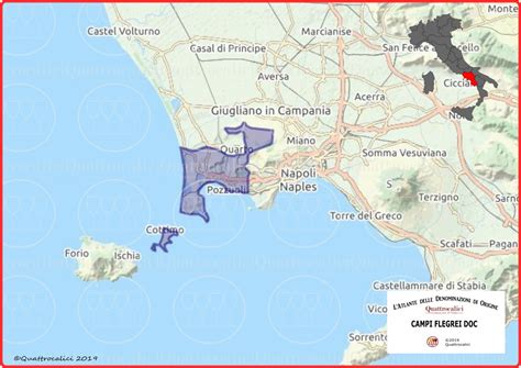 Campi Flegrei DOC Quattrocalici Tutte Le DOC Della Regione Campania