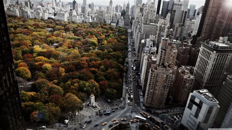 Building Taxi Birds Eye View Roundabouts Cityscape Window Urban New York City Usa Architecture