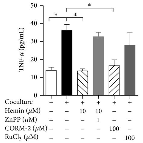 Ho Induction Reduces Hfd Induced Adipose Tissue Inflammatory