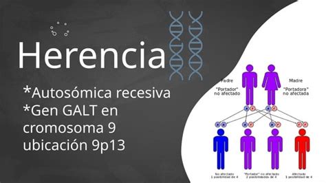 Presentaci N Con Diapositivas Sobre Galactosemia Ppt