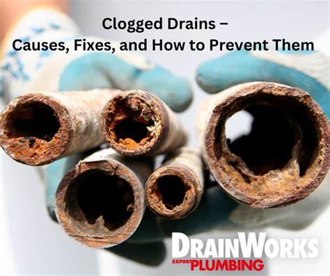 Clogged Drains Causes Fixes And How To Prevent Them