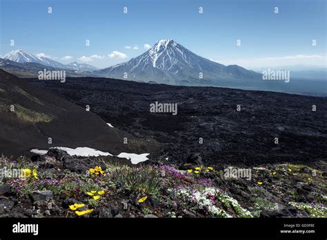 Kamchatka Beautiful Volcanic Landscape Summer View Of Bolshaya Udina