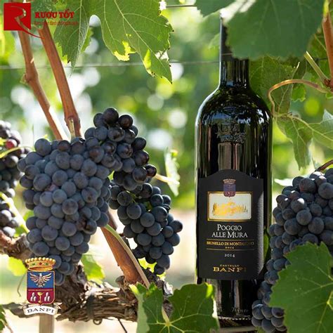 Gi Sale R U Vang Poggio Alle Mura Brunello Di Montalcino