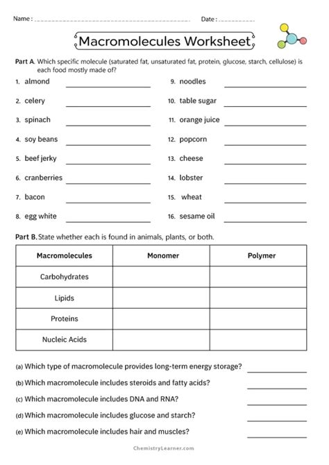 Free Printable Macromolecules Worksheets