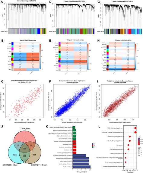 Frontiers Identification Of Lung Adenocarcinoma Subtypes And