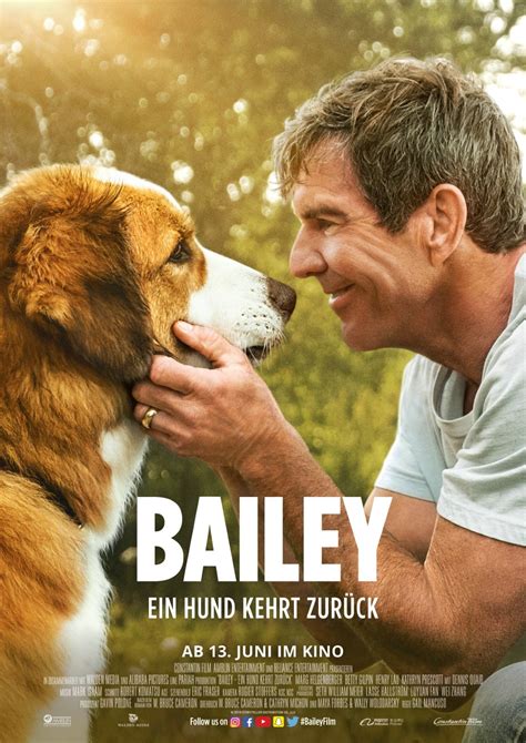 Bailey Ein Hund Kehrt Zur Ck Film Filmstarts De