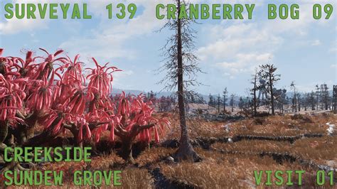 Fallout 76 Surveyal Project 139 Cranberry Bog 09 Creekside Sundew