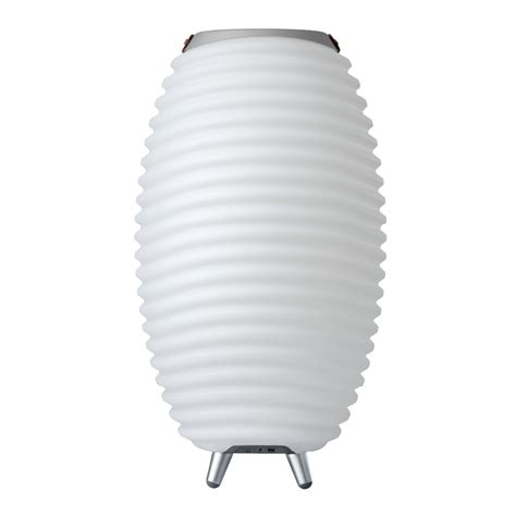 Lampe enceinte seau à glace KOODUU SYNERGY 50 DBE85