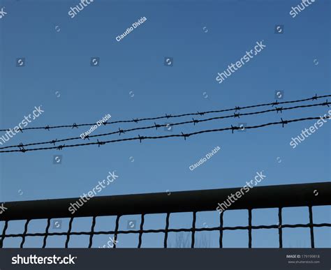 Detail Barbed Wire Fence Protection Stock Photo 179199818 Shutterstock