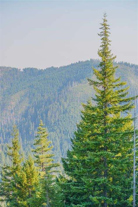 Cave Junction Oregon Campground Cave Junction Koa Journey