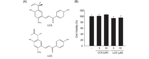 The Effects Of LCA And LCE On Cytotoxicity A Chemical Structure Of