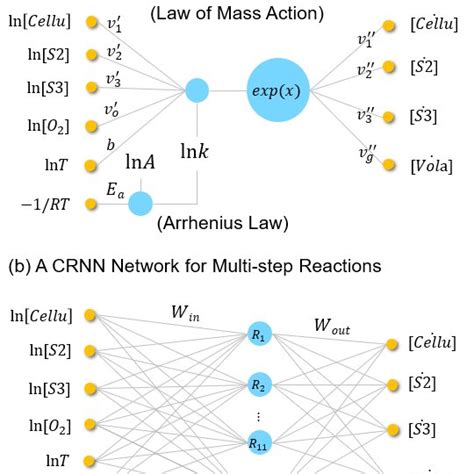 Schematic Of The CRNN Illustrated For A Reaction System With Four