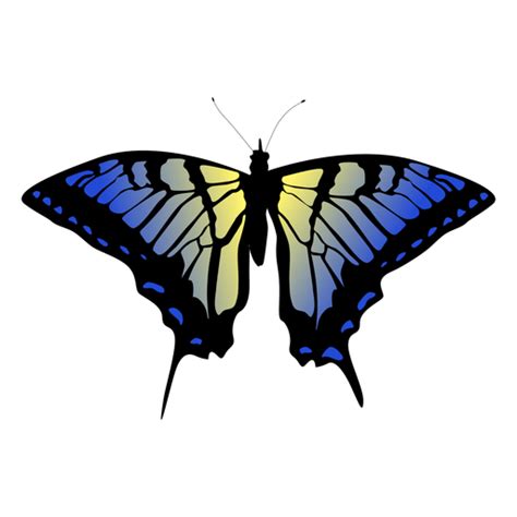 Design PNG E SVG De Desenho De Borboleta Azul E Amarelo Para Camisetas