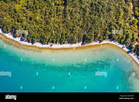 Aerial View Of Adriatic Coastline In Croatia Dugi Otok Island Pine