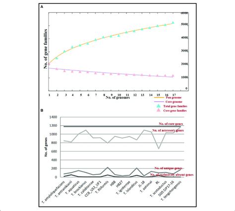 Core And Pan Genome Analysis Of Thermus Genus A Plot Of Pan And Download Scientific Diagram