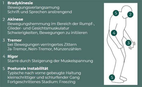 Kap 10 Weitere neurologische Beeinträchtigungen Karteikarten Quizlet