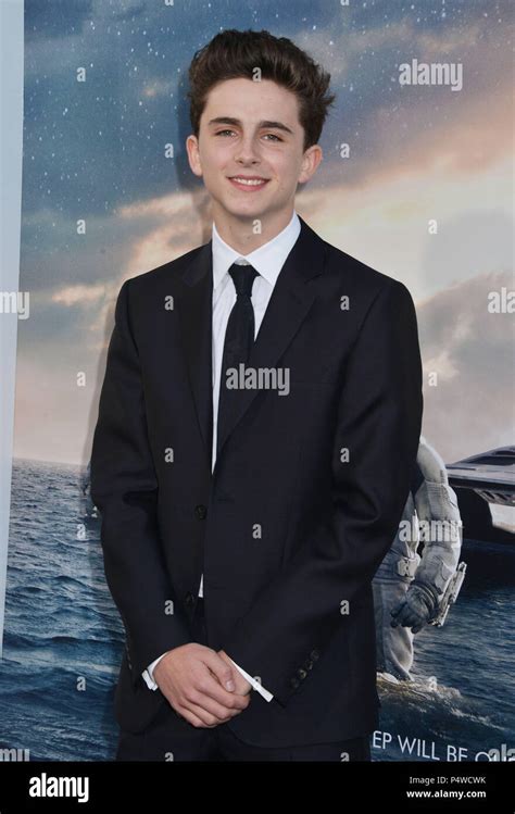 Timothée chalamet interstellar -Fotos und -Bildmaterial in hoher ...