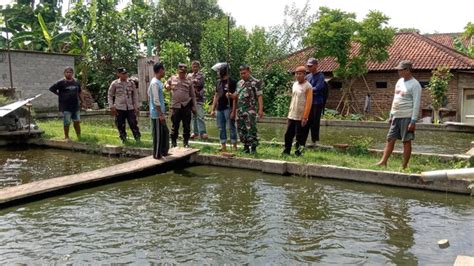 Bocah Di Tulungagung Tercebur Di Kolam Ikan Tewas Tenggelam