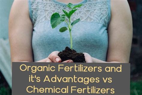 Organic Fertilizers and its Advantages vs. Chemical Fertilizers - Garden Crafted