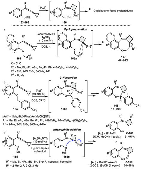 Scheme 53 Gold Catalyzed Cyclobutane Formation From Functionalized Download Scientific Diagram