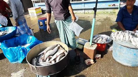 বিশাল মাছের বাজার নারায়ণগঞ্জ Fish Marketbig Fish Market