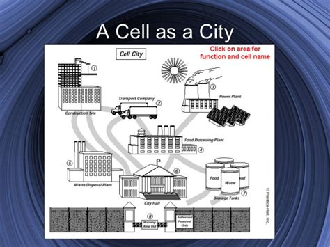 Cell Analogy Project