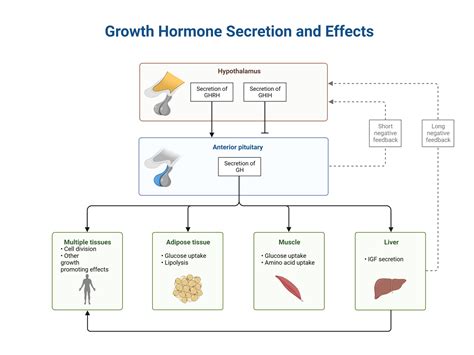 Acromegaly versus Gigantism – My Endo Consult