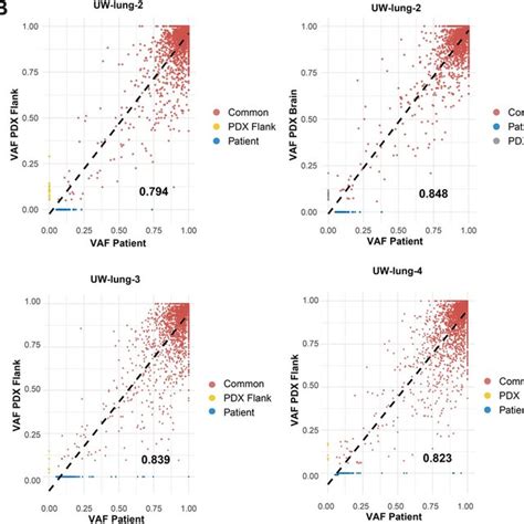 Conservation Of Patient Derived Xenografts Pdxs Mutational Landscape