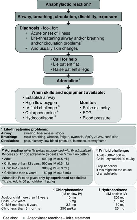 Anaphylaxis Algorithm : Asthma And Anaphylaxis - Asthma Lung Disease ...