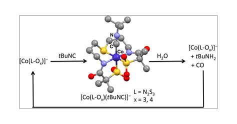 Coiii Complexes With N2s3 Type Ligands As Structuralfunctional