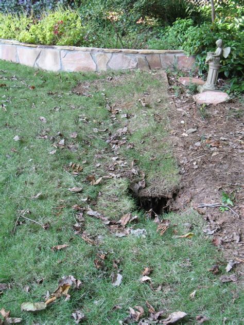 Sinkhole – Repairing | Walter Reeves: The Georgia Gardener