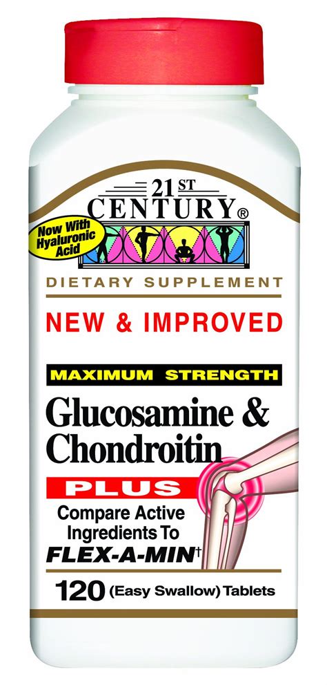 21st Century Glucosamine Chondroitin Hyaluronic Acid + MSM 120 Tablets ...
