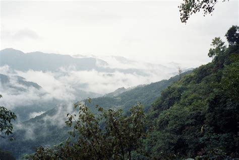 Wudang mountains