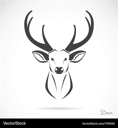 Deer Royalty Free Vector Image Vectorstock