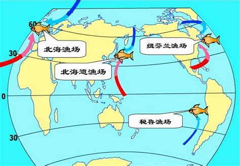 高中地理知识讲解 洋流、四大渔场、拉尼娜现象 地理试题解析 地理教师网