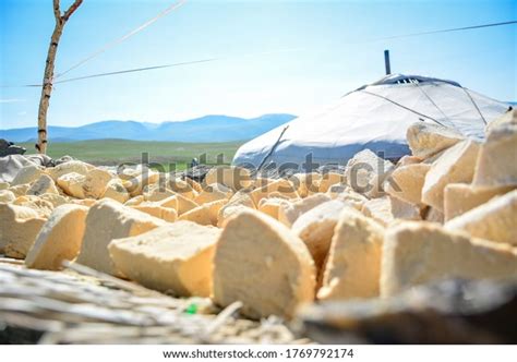 Mongolian Dairy Product Aaruul Curd Made Stock Photo 1769792174 ...