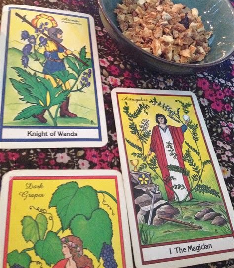 The Herbal Tarot One Tarot Card Reading Etsy