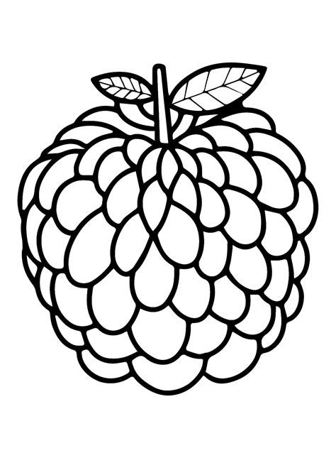 Big Custard Apple Coloring Page Free Printable Coloring Pages