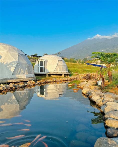 Cuma Jam Dari Jakarta Ada Tempat Glamping Di Tepi Sawah Dengan