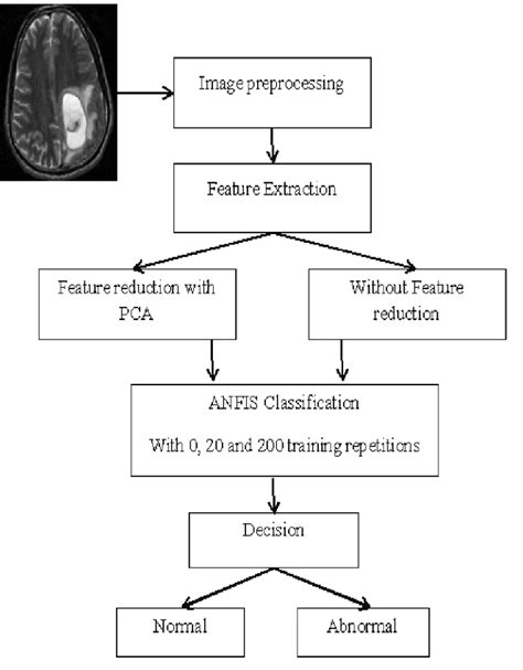 Steps Of The Proposed Methodology For Classification Of Brain Tumor