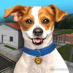 Animal Shelter Simulator - Download & Play for Free Here