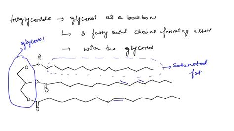 SOLVED Draw The Gcncral Structure Of Triglyceride Containing Both