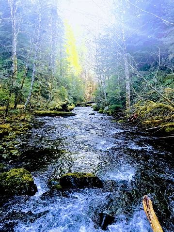 Blue River Oregon Stock Photo - Download Image Now - Angle, Autumn ...