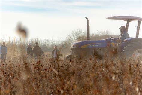 Productores agrícolas deben fortalecer acciones fitosanitarias