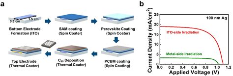 Bifacial Perovskite Solar Cells With Gold Transparent Electrodes Grown