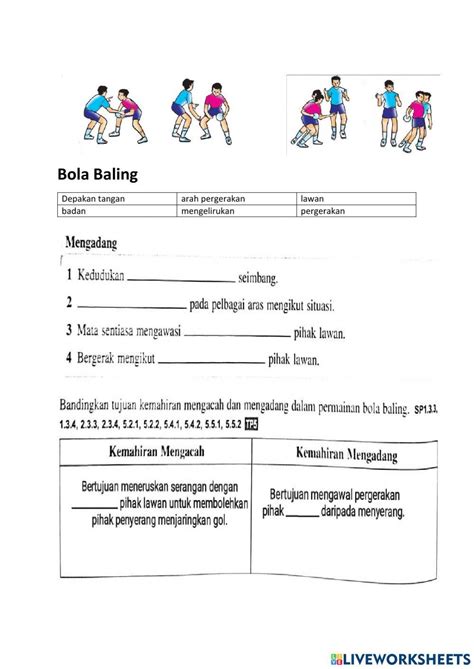 Bola Baling Mengadang 3301010 Zeyou Live